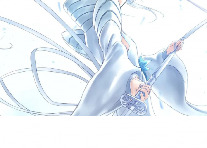Inilah 9 Bankai yang Berisiko Tinggi Bahkan Bisa Mengorbankan Nyawa Penggunanya di Anime Bleach