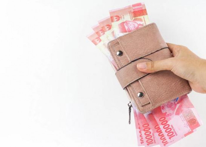 Silahkan Cek! Inilah Rincian Nominal Gaji PNS Terbaru Jika Menggunakan Skema Single Salary
