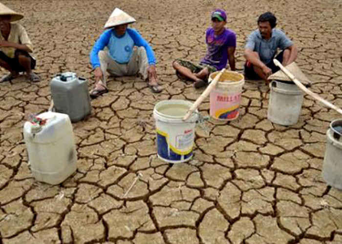 Antisipasi Kerugian Besar Akibat El Nino Ekstrem, Kementan Dorong Petani Ikut Program Asuransi Usaha