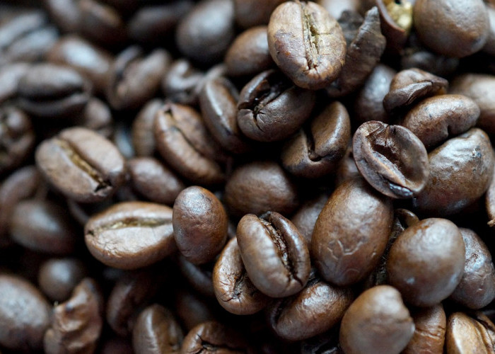 Jadi Daerah Penghasil Terbesar Kedua di Lampung, Ini Cara Pemasaran Kopi Tanggamus 