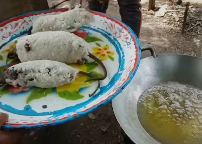 Jadi Makanan Populer di Vietnam, Ternyata  Daging Hewan Ini Memiliki Dampak Buruk untuk Kesehatan 