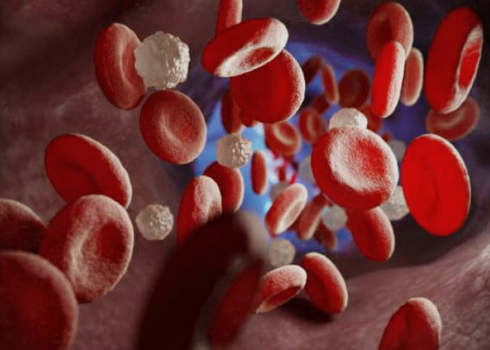 Here's the explanation: Fasting Can Control Blood Sugar and Prevent Cancer