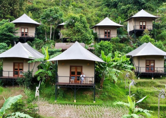 Pakarangan Glamping Vibes Ubud Hidden Gems di Bogor, Staycation Glamping Rasa Hotel 