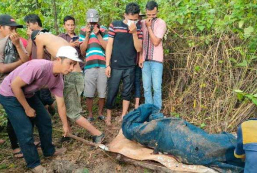 Selain Anak Tiri, Ternyata Istri dan Keponakan Juga Ikut Membunuh Harianto
