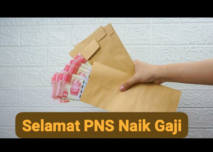 Resmi Dinaikkan, Berapa Rincian Gaji PNS Terbaru Tiap Bulannya?