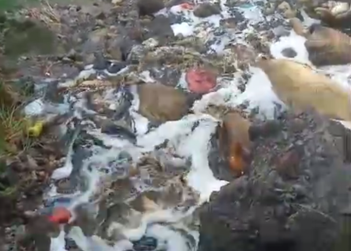 Heboh DLH Bandar Lampung Buang Air Lindi Ke Sungai, Akhirnya Sang Kepala Dinas Buka Suara