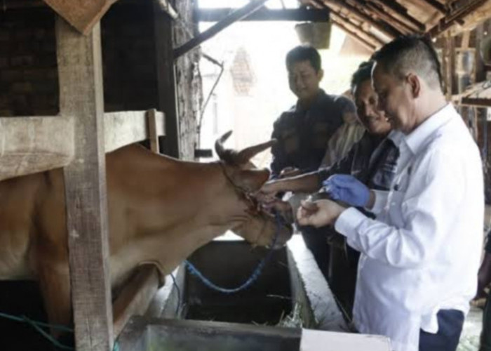 Sepanjang 2023 Terdapat 88 Kasus Rabies di Lampung Utara
