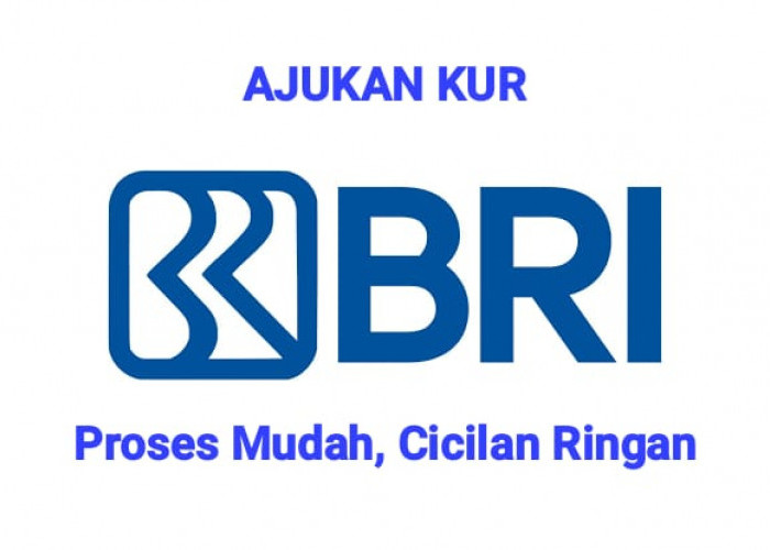 Tanpa Jaminan, KUR BRI Sediakan Pinjaman Mulai Rp 15 Juta dengan Angsuran Mulai dari Ratusan Ribu
