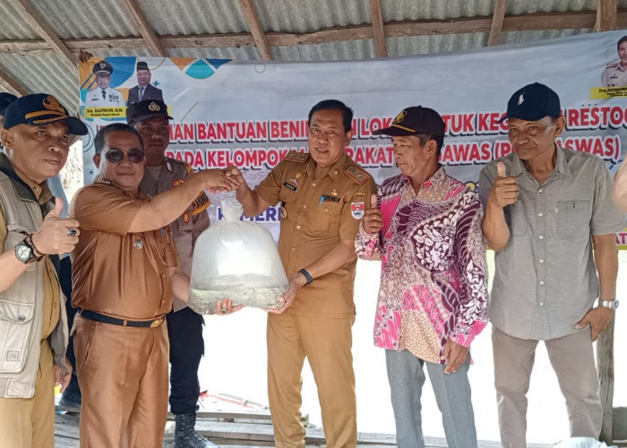 Pemkab Mesuji Tebar Benih Ikan di Sungai Dusun Jurang Kuali, Ini Tujuannya