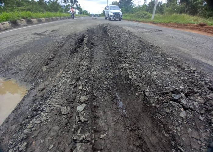 Duh, Jalan Bergelombang di Depan Kampus Itera Sulitkan Pengendara yang Melintas