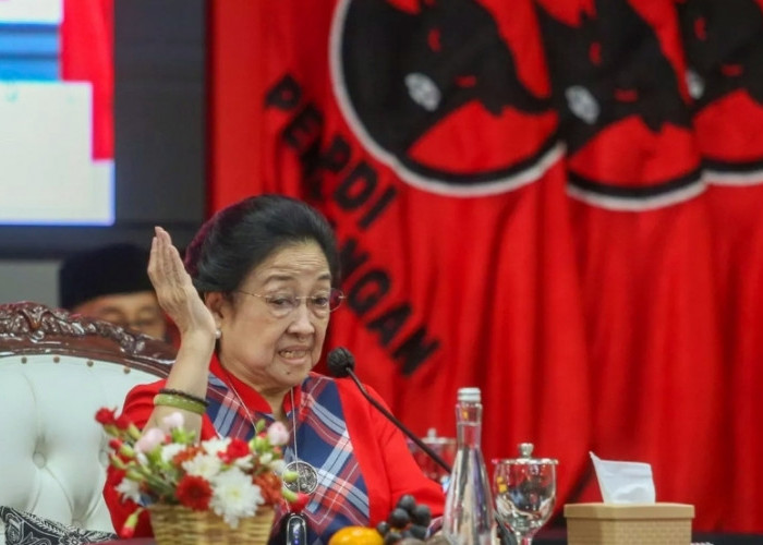 Mengenal Megawati Soekarnoputri, Pengawal Konstitusi dan Perjuangan Ibu yang tak Kunjung Usai