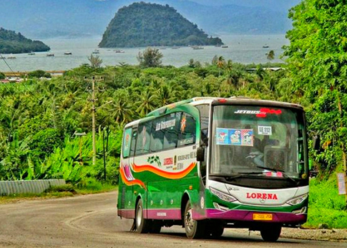 Waspada! ini Titik Rawan Kecelakaan di Lampung Dalam Periode Mudik Lebaran 2024