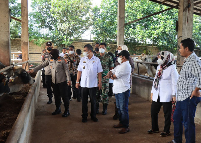 Jelang Nataru, Stok Sembako di Metro Normal dan Aman