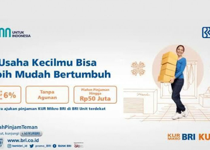 Begini Syarat Ajukan Pinjaman KUR BRI Terbaru Tanpa Ribet dengan Cicilan Ringan