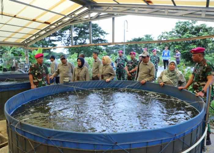 Unila dan Brigif 4 Marinir/BS Kembangkan Ketahanan Pangan