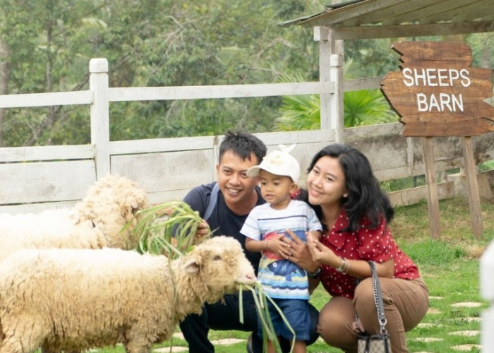Bermain Sambil Belajar, Ini 5 Wisata Edukatif di Bandar Lampung Cocok Jadi Rekomendasi Liburan Bareng Keluarga