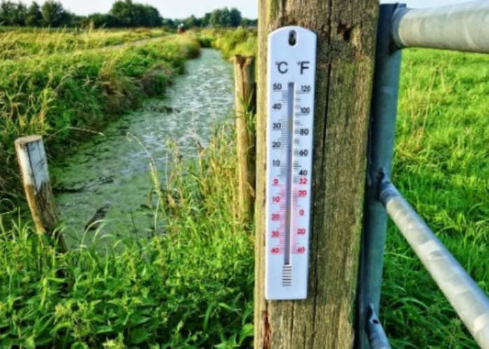 Lampung Gerah! Suhu Maksimum Harian Capai 36 Derajat Celcius, Ternyata Ini Penyebabnya