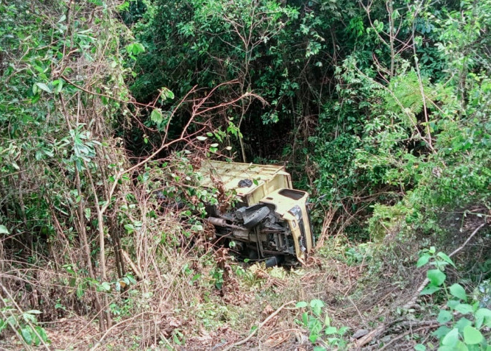 Truk Dari Baturaja Terjun Bebas ke Jurang Dekat RSUD Zapa Way Kanan, Warga Berharap Adanya Pembatas Jalan