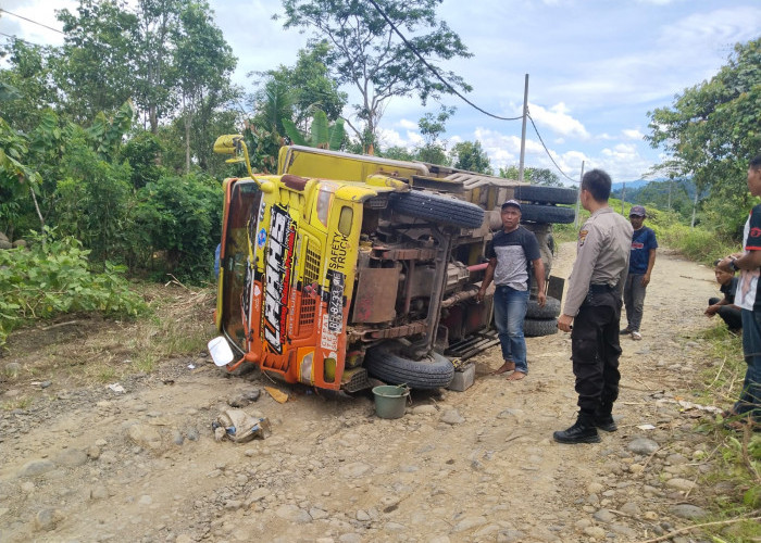 Truk Bermuatan Pisang Terguling di Jalan Lintas Suoh, Begini Kondisi Pengemudi