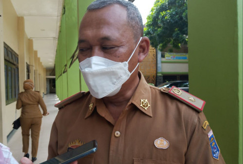 Hewan Ternak Terpapar PMK Berangsur Sembuh