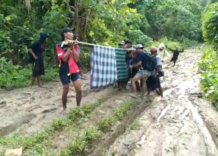 Sedih! Ini Nasib Warga di Daerah Terisolir Pesisir Barat yang Sakit   