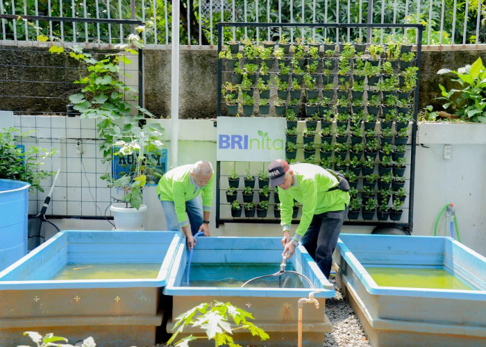 Didukung BRINita, Kelompok Tani Ini Sulap Lahan Terbengkalai Jadi Produktif