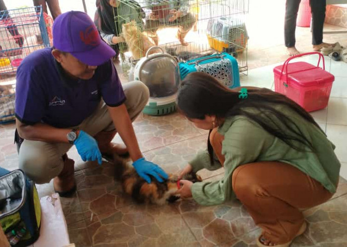 Cegah Rabies, Dinas Perikanan dan Peternakan Lamtim Gelar Vaksinasi Masal HPR