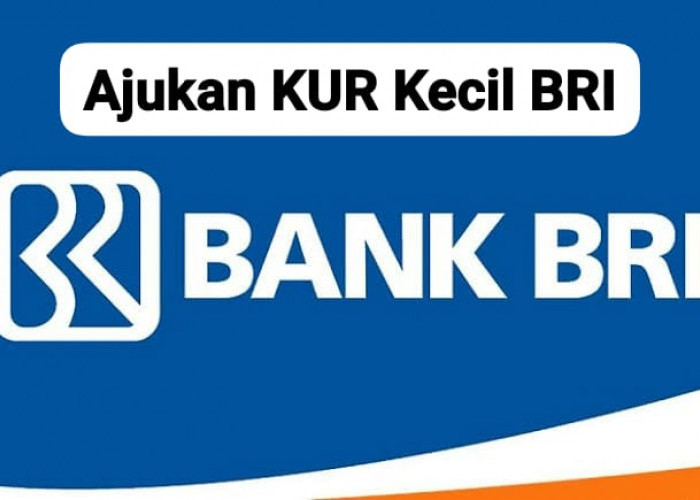 Mantap! BRI Sediakan Pinjaman KUR Kecil Terbaru Dengan Suku Bunga 6 Persen, Ajukan Hari Ini