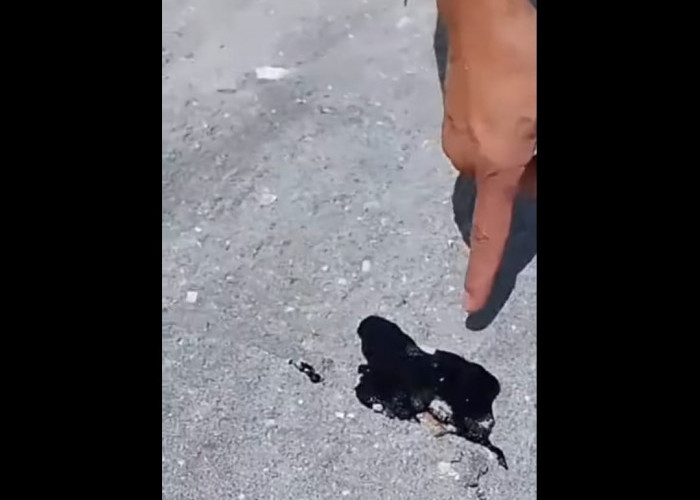 Kementerian Sudah Turun, Tetapi Limbah Hitam Masih Ditemukan di Pesisir Pantai Lampung Timur 