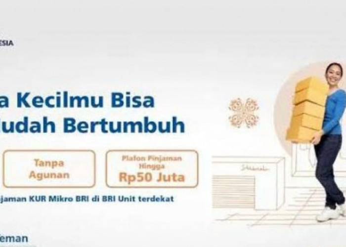 KUR Bank BRI 2025 Bisa Dipinjam Oleh Siapa? Cek Ketentuan Terbaru
