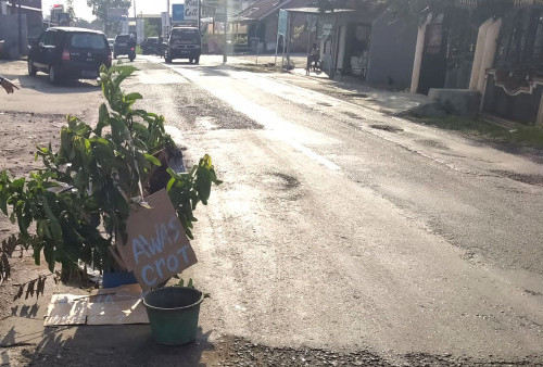 Biar ‘Safety’, Warga Letakkan Pohon di Jalinbar Gisting yang Berlubang 