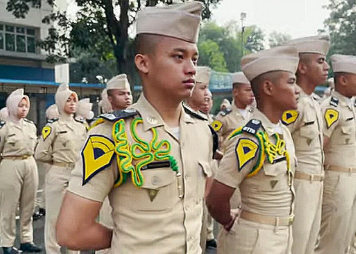 Seleksi Administrasi Sekolah Kedinasan 2024 Resmi Diumumkan, Ini Link dan Cara Cek Hasilnya
