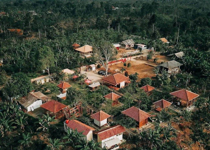 4 Rekomendasi Wisata Kopi di Lampung, Penikmat Kopi Wajib Coba Kopi Robusta Yang Jadi Andalan 