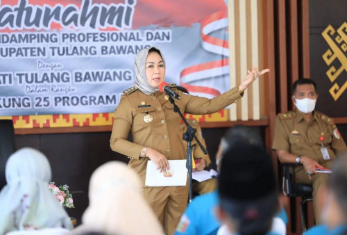 Winarti Dianggap Berhasil, Tenaga Ahli P3MD dan PPDI Berharap 25 Program BMW Dilanjutkan