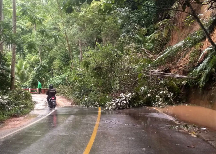 Ini Titik Rawan Macet dan Kecelakaan di Jalinbar Lampung-Bengkulu pada Arus Mudik 2023  