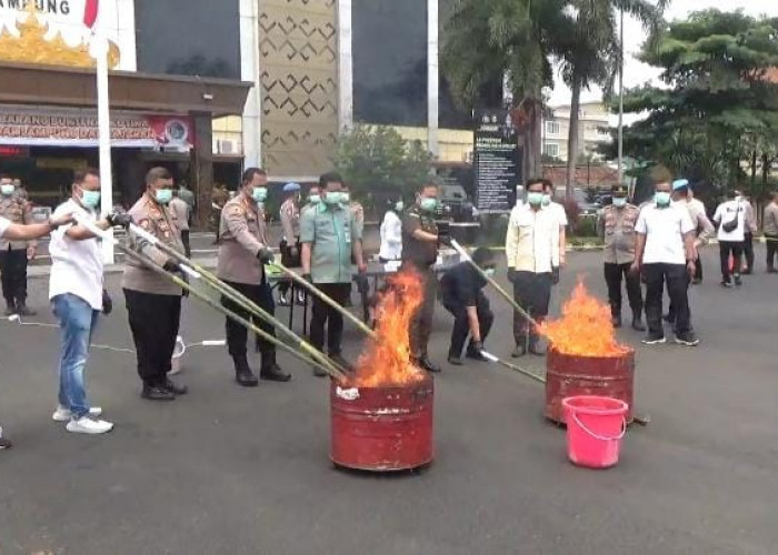 Polresta Bandar Lampung Musnahkan Barang Bukti Narkoba Senilai Rp672 Juta, Dari 13 Tersangka