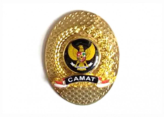 Update Daftar Camat di Kabupaten Tanggamus Lampung, 11 Hasil Mutasi Terbaru 