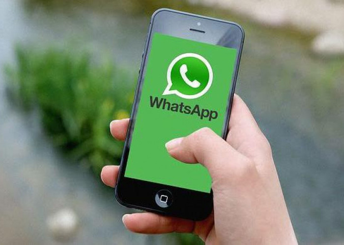 Siap-Siap, Ini Daftar HP Android dan Iphone yang Bakal Terkena Blokir WhatsApp Bulan Ini