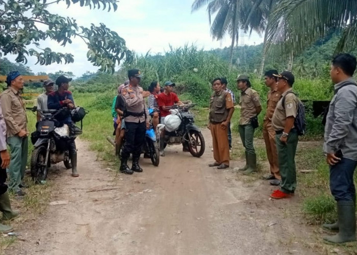 Kawanan Gajah Masuki Pemukiman di Semaka Tanggamus, Tim Gabungan Gerak Cepat Giring ke TNBBS
