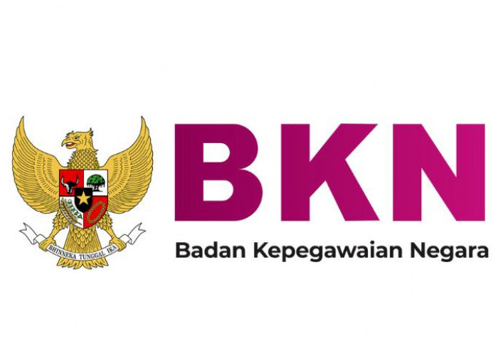 Jelang Pembukaan, Ini Cara Pembuatan Akun Resmi SSCASN untuk Pelamar CPNS 2024