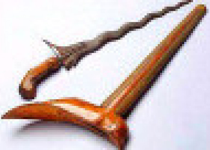 5 Lampung Traditional Weapons, Complete with Their Characteristics