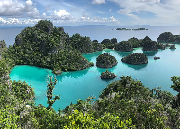 Mengenal Raja Ampat, Surga Tersembunyi dari Timur yang Mendunia