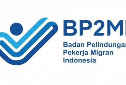 Soal Penarikan PMI dari Malaysia, Ini Kata Kepala BP2MI Bandar Lampung
