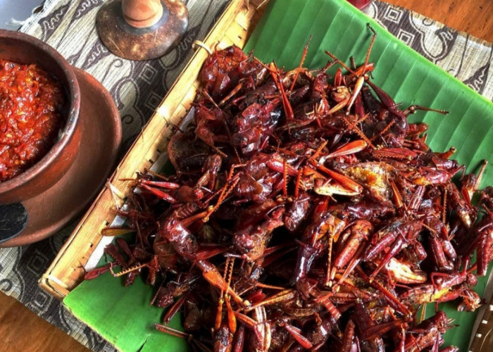 23 Cemilan Khas Yogyakarta, Buah Tangan untuk Keluarga Tercinta di Kampung Halaman  