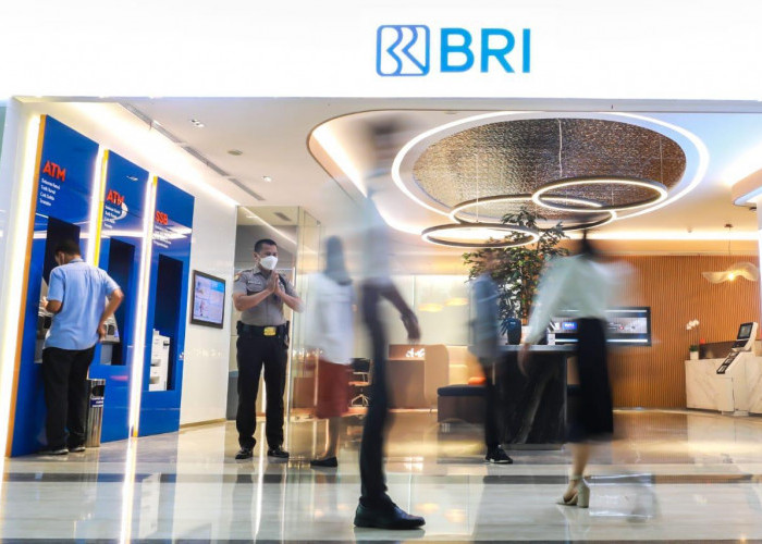 Setoran Dividen BUMN Meningkat Drastis, BRI Jadi Kontributor Teratas