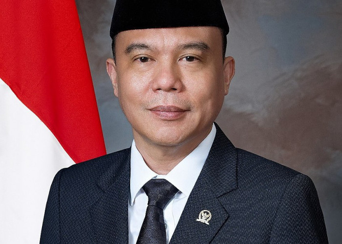 Prabowo Diserang, Dasco Minta Kader Tak Membalas 