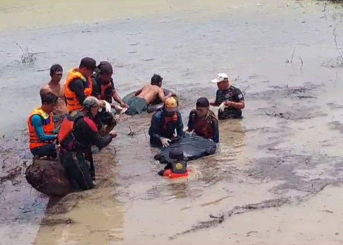 3 Hari Hilang Tenggelam di Embung, Warga Tulang Bawang Akhirnya Ditemukan Tim SAR, Begini Kondisinya
