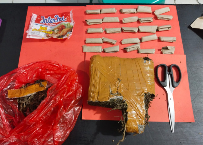 Dua Pemuda Bandar Ganja Diringkus Polisi 