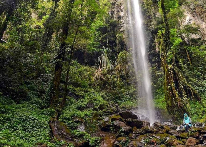 1001 Air Terjun di Way Kanan Lampung, Salah Satunya Air Terjun Putri Malu Pada Desa Wisata Juku Batu 