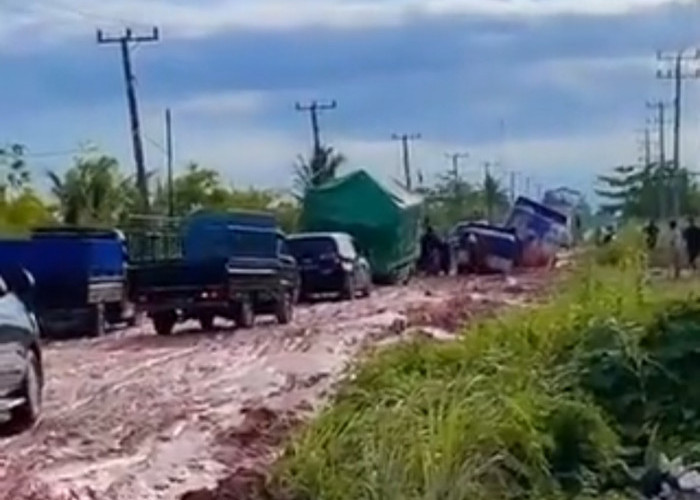 Viral Jalan Lintas Rawajitu Rusak Berat Ternyata Video Lama, Petambak Dipasena: Sekarang Jalan Lebih Bagus